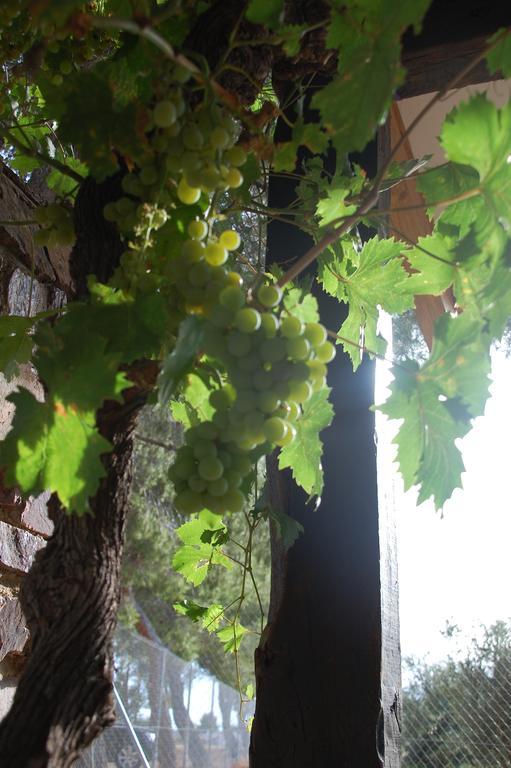 Apartamentos Rurales Las Caleras Almagro Exterior photo